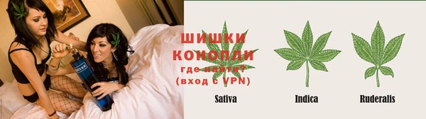 ECSTASY Богородицк