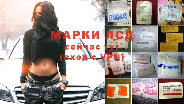 spice Богородск