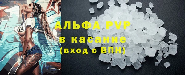spice Богородск