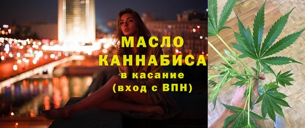 spice Богородск