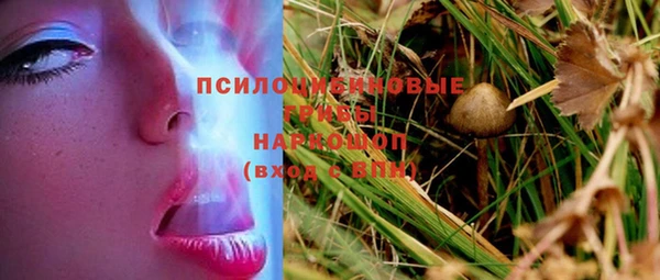 дживик Богданович