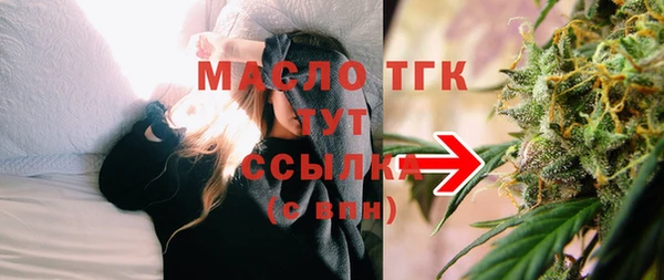 spice Богородск