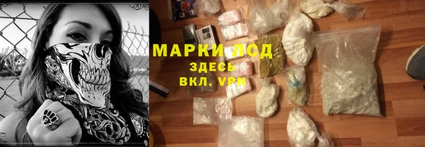 spice Богородск