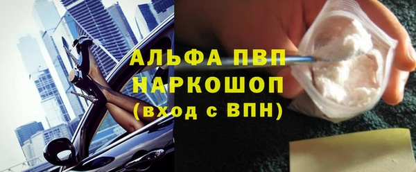 spice Богородск