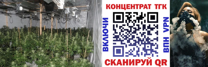 kraken tor shop формула Михайлов Дистиллят ТГК вейп как найти закладки